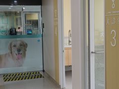 -谐和贝康宠物医院24小时·宠保定点(急重症转诊中心)