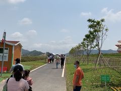 -光明小镇欢乐田园