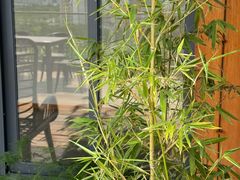 -小茶闲舍·观景商务茶馆(广州塔店)