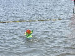 -碧海金沙