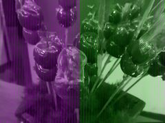 -小大董·烤鸭(凤凰汇店)