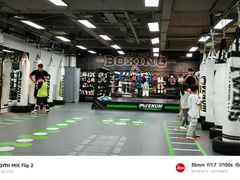 -拳力汇散打搏击泰拳俱乐部(绿地缤纷城店)