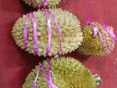 -沈阳市八家子水果批发市场