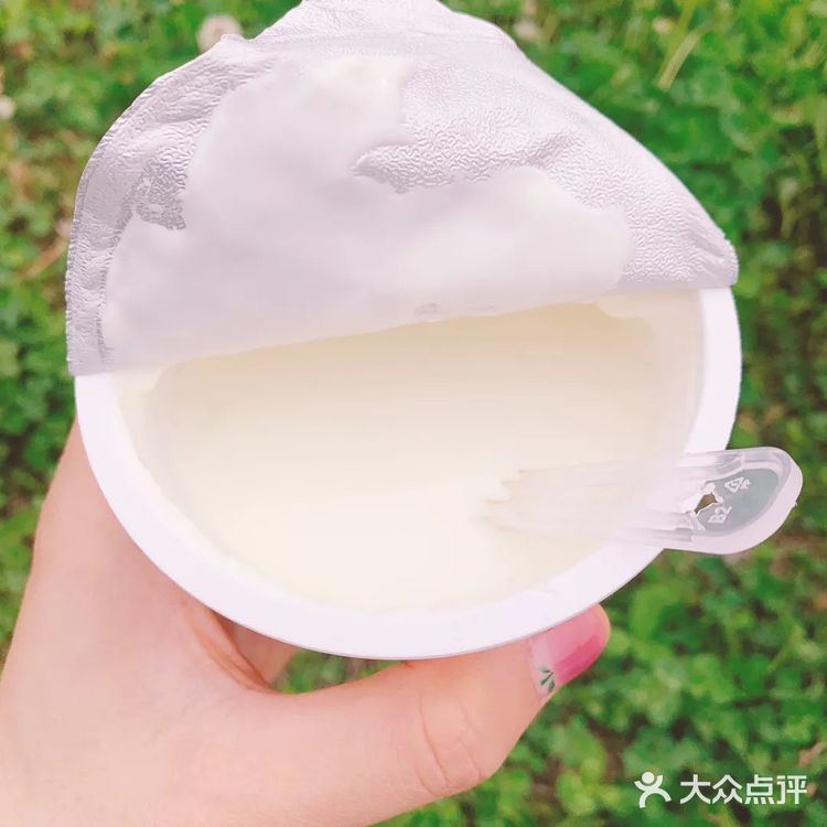 北海牧场酸奶[胜利]