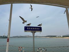 -海驴岛(荣成市)