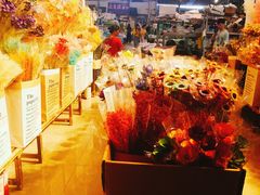 -三圣花乡旅游区