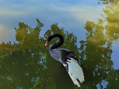 -珠海圆明新园