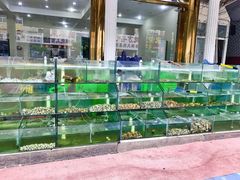 -四海鲜渔家菜(黄金海岸店)