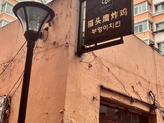 -猫头鹰炸鸡