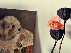 -爱维尔阳光蛋糕(越湖店)