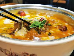 -龙梅肥肠鱼(明瓦廊店)