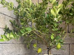 -22ºN BISTRO西餐&酒馆