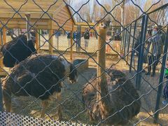 -长白岛森林公园