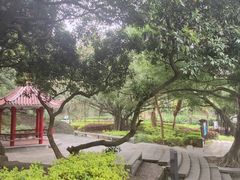 -云洞岩风景区