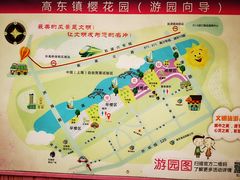-高东镇樱花园