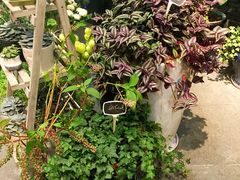 iphone_upload_pic-豆豆花艺(新光天地店)