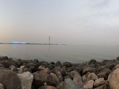 -吴淞炮台湾湿地森林公园烧烤区