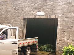 -都江堰中华大熊猫苑