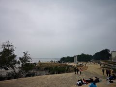 -宝安西湾红树林湿地公园