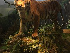 -陕西自然博物馆