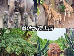 -长鹿旅游休博园