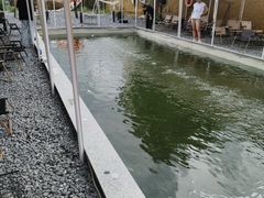 -DGE季风钓虾营地·团建·聚会
