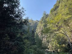 -石台牯牛降景区