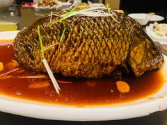 罾蹦鲤鱼-津菜宋记老房子(鼓楼店)