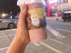 -野萃山·潮汕厚果汁(十亩地店)