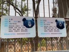 -昆明动物园