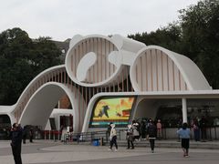 景点-成都大熊猫繁育研究基地
