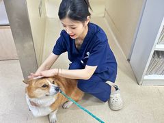 -爱侣宠医·鹦鹉专科·小型哺乳类·异宠专科(灵石路店)