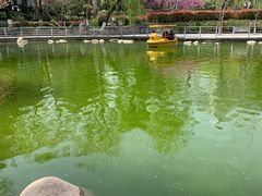 -莲湖公园