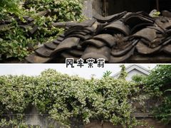 -木渎古镇