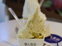 开心果-野人牧坊Gelato(天津南开大悦城店)