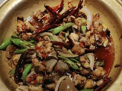 -天辣(金桥啦啦宝都店)