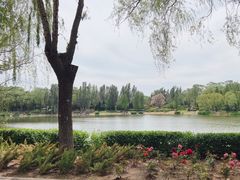 -北坞公园