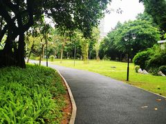 -晓港公园