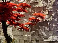 -东吴水韵(吴中店)