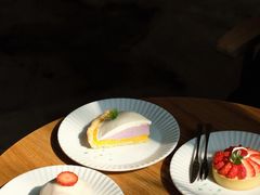 -猫里有甜