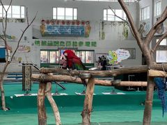 -哈尔滨北方森林动物园