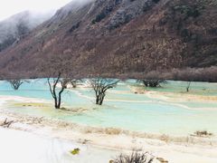 -黄龙山原始森林景区