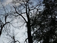 -黔灵山公园