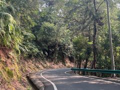 -佛山市三水区大南山森林公园