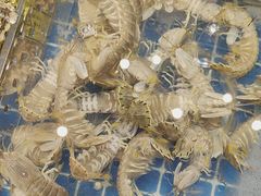 -阿明小菜·海鲜·上海菜(梅陇店)
