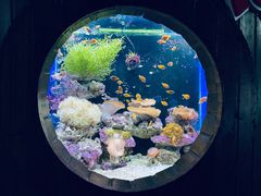 -杭州海底世界