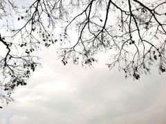 -无锡梅园公园