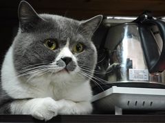 -不作·手工银饰DIY(西红门店)