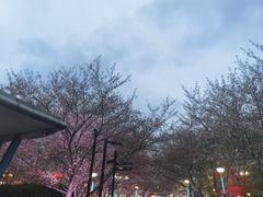 -W CAFE(甜爱路店)