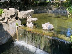 -九龙寨城公园